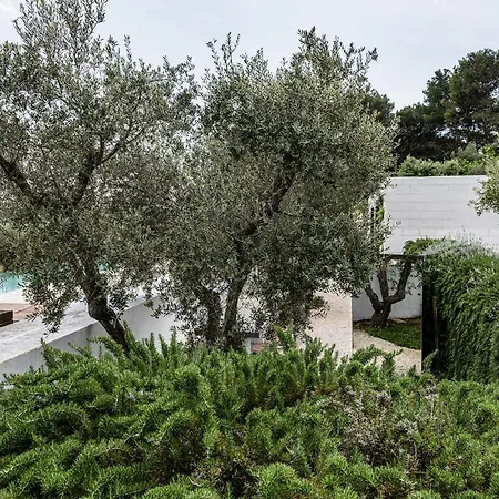 Villa Cocotrullo With Infinity Pool