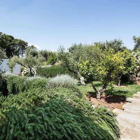 Βίλα Cocotrullo With Infinity Pool *